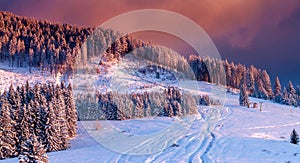 winter scene. colorful sunset over snow covered trees in an idyllic mountain landscape