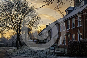 Winter scene on an early January morning with trees, bushes and grass covered in frost.