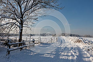 Winter scene in East Grinstead
