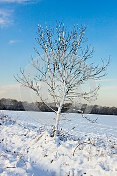 Winter scene in East Grinstead