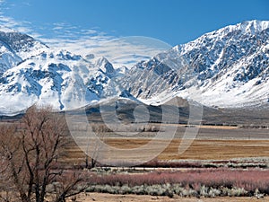 Winter scene in the Eastern Sierra Nevada Range photo