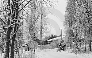 Winter scene in Finland photo