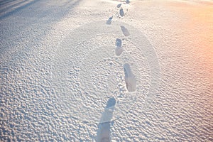 Winter scene. Footprints in the snow in the winter, in the sunset