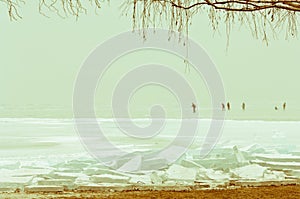 Winter scene with frozen ice-pack ice float and other formations