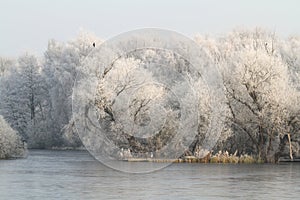 A Winter scene of a frozen lake and frosty trees.