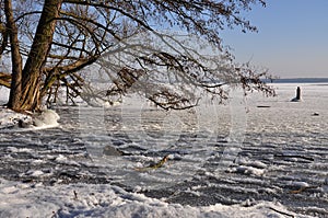 Winter scene: frozen lake and tree