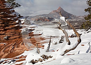 This winter scene has slickrock, windblown snow, deadwood and mountains