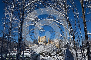 Winter scene with Hohenschwangau Castle