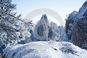 Winter scene with ice covered trees and mountain