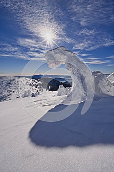Zimná scéna z Košariska v Nízkych Tatrách