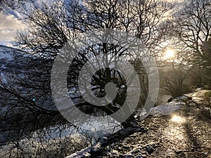 Winter scene by the lake