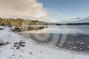Winter scene at Loch Morlich in the Cairngorms National Park of Scotland.