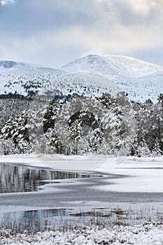 Winter scene at Loch Morlich in the Cairngorms National Park of Scotland.