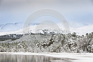 Winter scene at Loch Morlich in the Cairngorms National Park of Scotland.