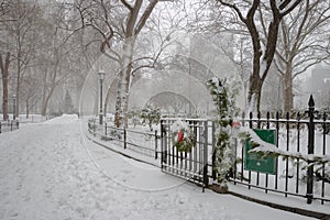 Winter scene in Madison Square Park, Manhattan, NYC. photo