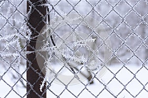 Winter scene of a metal mesh fence