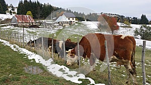 Winter scene of mountain vilage