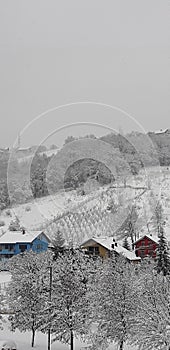 Winter scene of mountain village