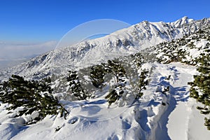 Winter scene in mountains