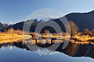 Winter scene of pitt lake