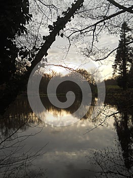 Winter scene reflected on a lake