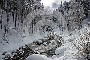 Winter scene at a river