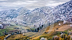 Winter scene in Romania, white frost over autumn trees