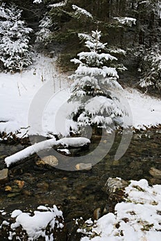 Winter scene in the Saanenland Valley