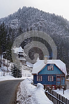 Winter scene, snow covered houses and forest near road