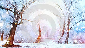 Winter scene. Snow covered trees and frozen river