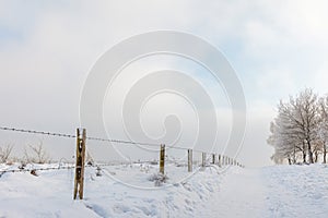 Winter scene with snow on the Dutch Posbank
