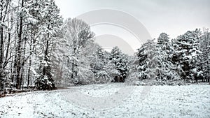 Winter scene of snow on a field and trees