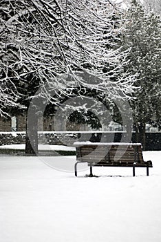 Winter scene - snowfall in the park