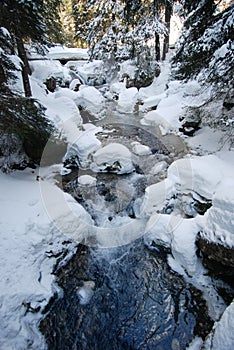 Winter Scene with Stream