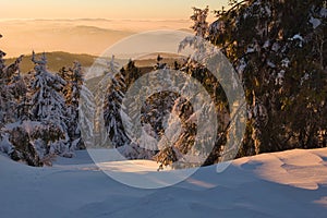 Winter scene during sunset from Velka Raca mountain in Kysucke Beskydy