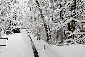 Winter scene -thickly snow covered park, river Pegnitz, Nuremberg, Germany photo