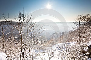 Winter scene, tree and distant