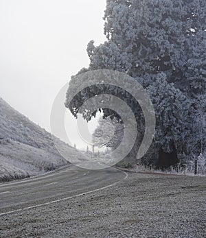 Winter scenery along the Cardrona Valley scenic road near Queenstown