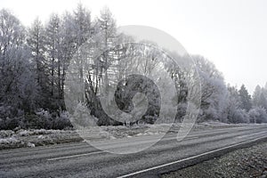 Winter scenery along the Cardrona Valley scenic road near Queenstown