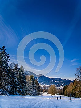 Winter Scenery in the Bavarian Alps - Trees and Mountain View