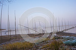 Winter scenery of bird nature reserve in huijin lake, anhui province