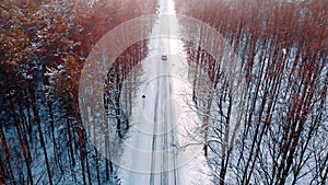 Winter scenery. Car dashing through the snow covered road surrounded by tall leafless trees