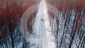 Winter scenery. Car dashing through the snow covered road surrounded by tall leafless trees.