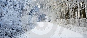 Zimná scenéria v Karpatoch pri Pezinku, Slovensko