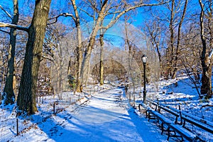 Winter Scenery in Central Park of New York City with ice and snow, USA