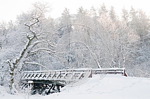 Winter scenery. Fairytale forest, bridge, snowy trees