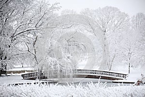 Winter scenery featuring a snow-covered bridge in a peaceful park setting during a quiet snowfall
