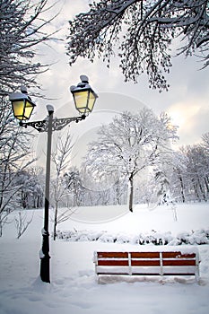 Winter scenery footage in the park with trees full of snow