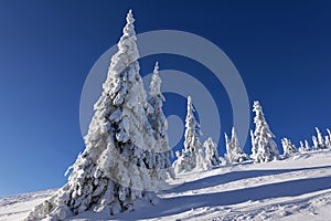 Křížava, Martinské hole, Malá Fatra, Slovensko