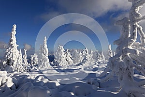 Křížava, Martinské hole, Malá Fatra, Slovensko